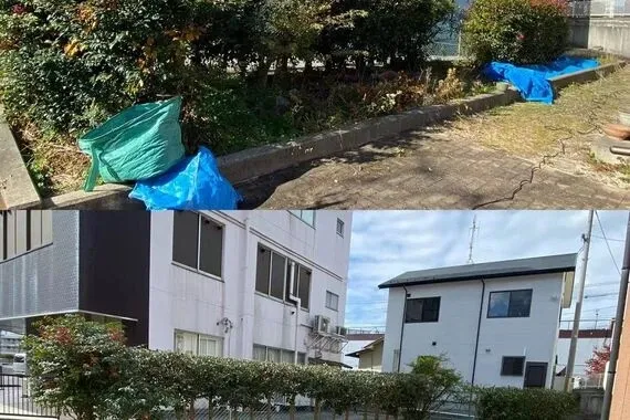 剪定作業事例です。